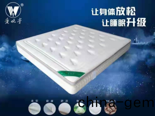 學生(sheng)牀(chuang)墊選(xuan)擇(ze)指南